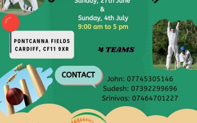 Cricket tournament in Pontcanna Fields Sunday 11th July
